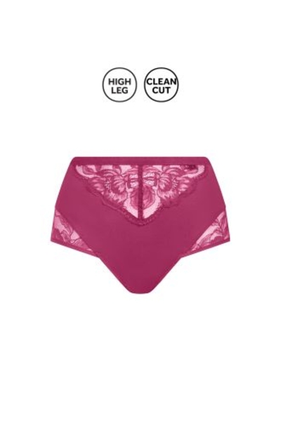 22362 ROBIN Briefs high